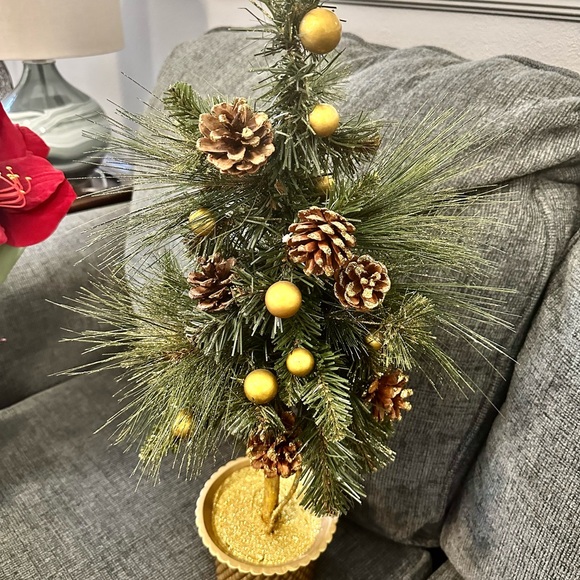 LOOK CLOSE! Christmas bundle last year. Dillards and macys stores. Used 1x - Picture 4 of 9